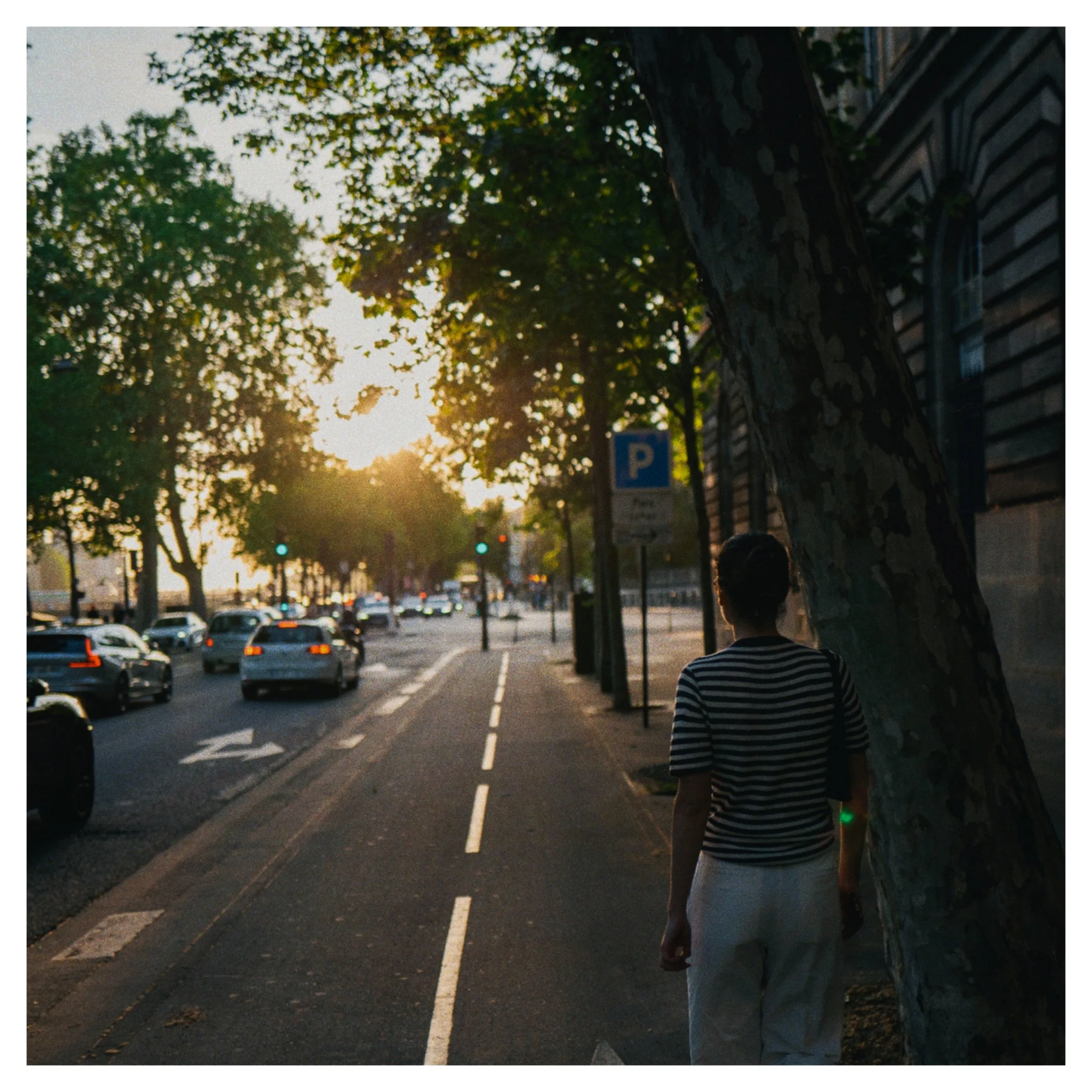 Photograph 17