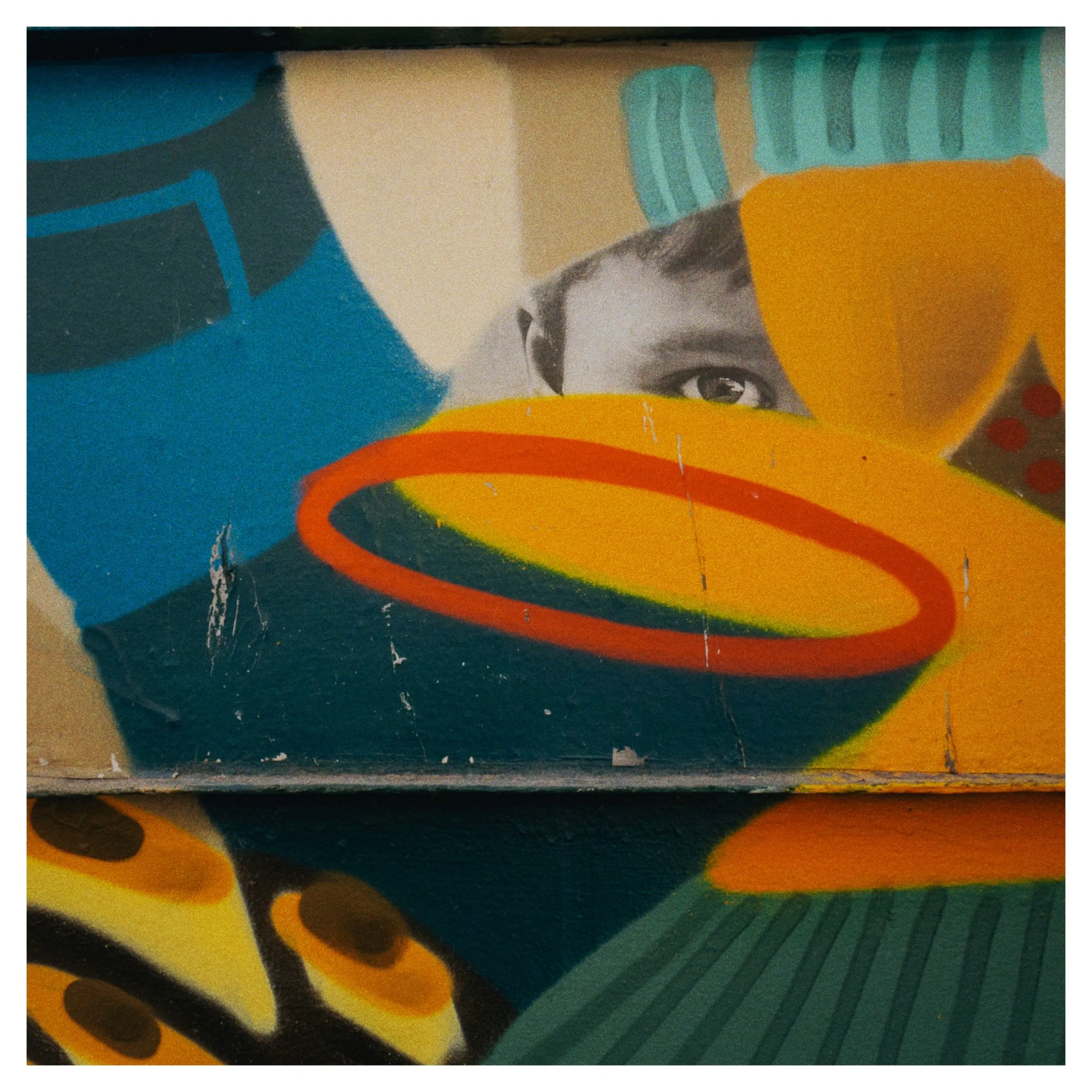 Photograph 11
