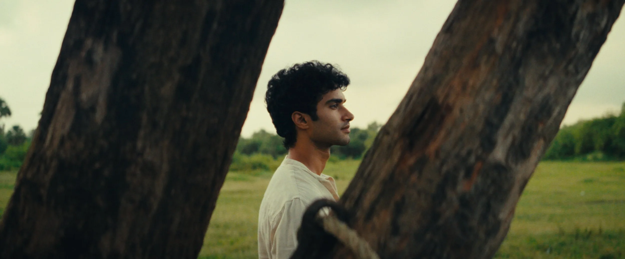 Still 19