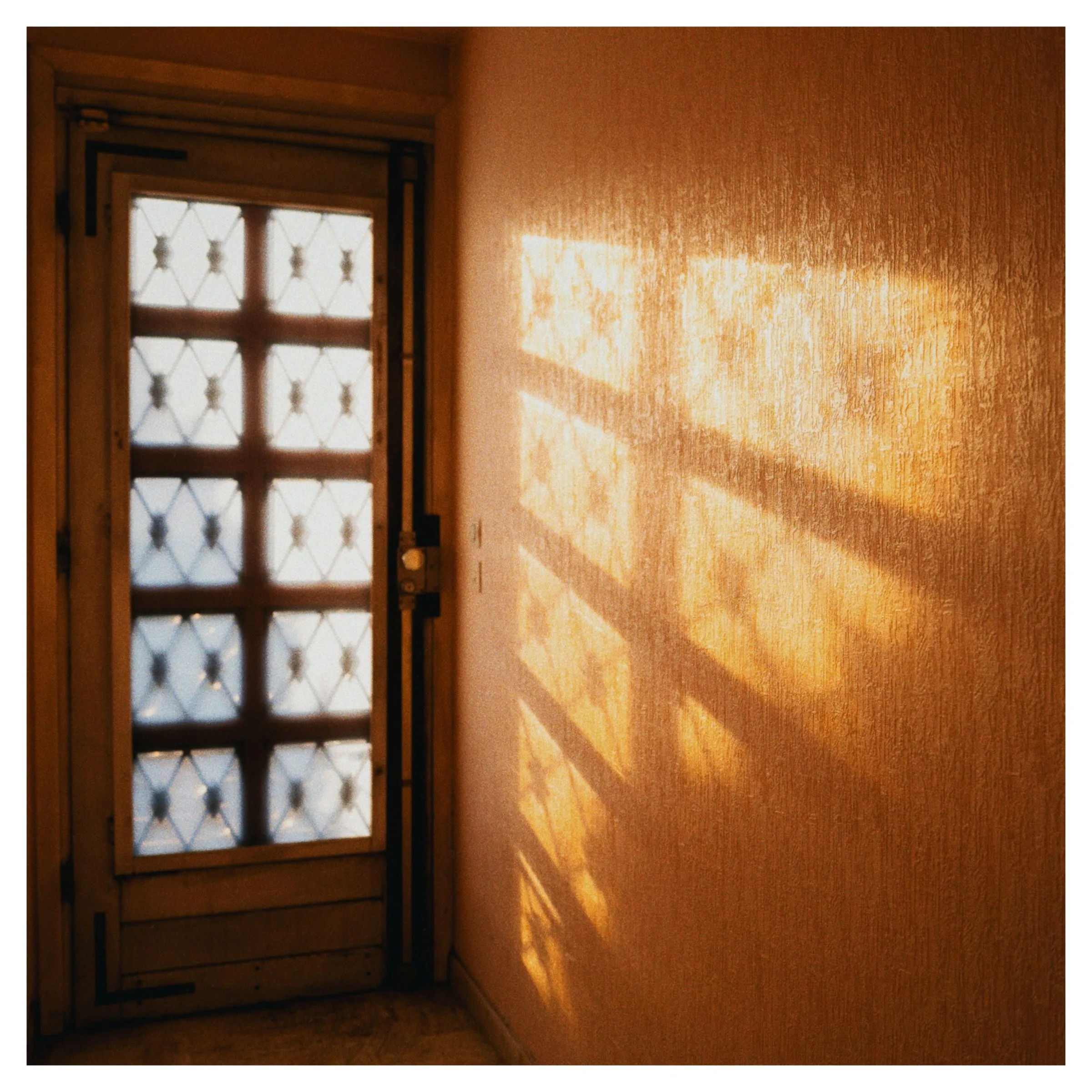Photograph 6
