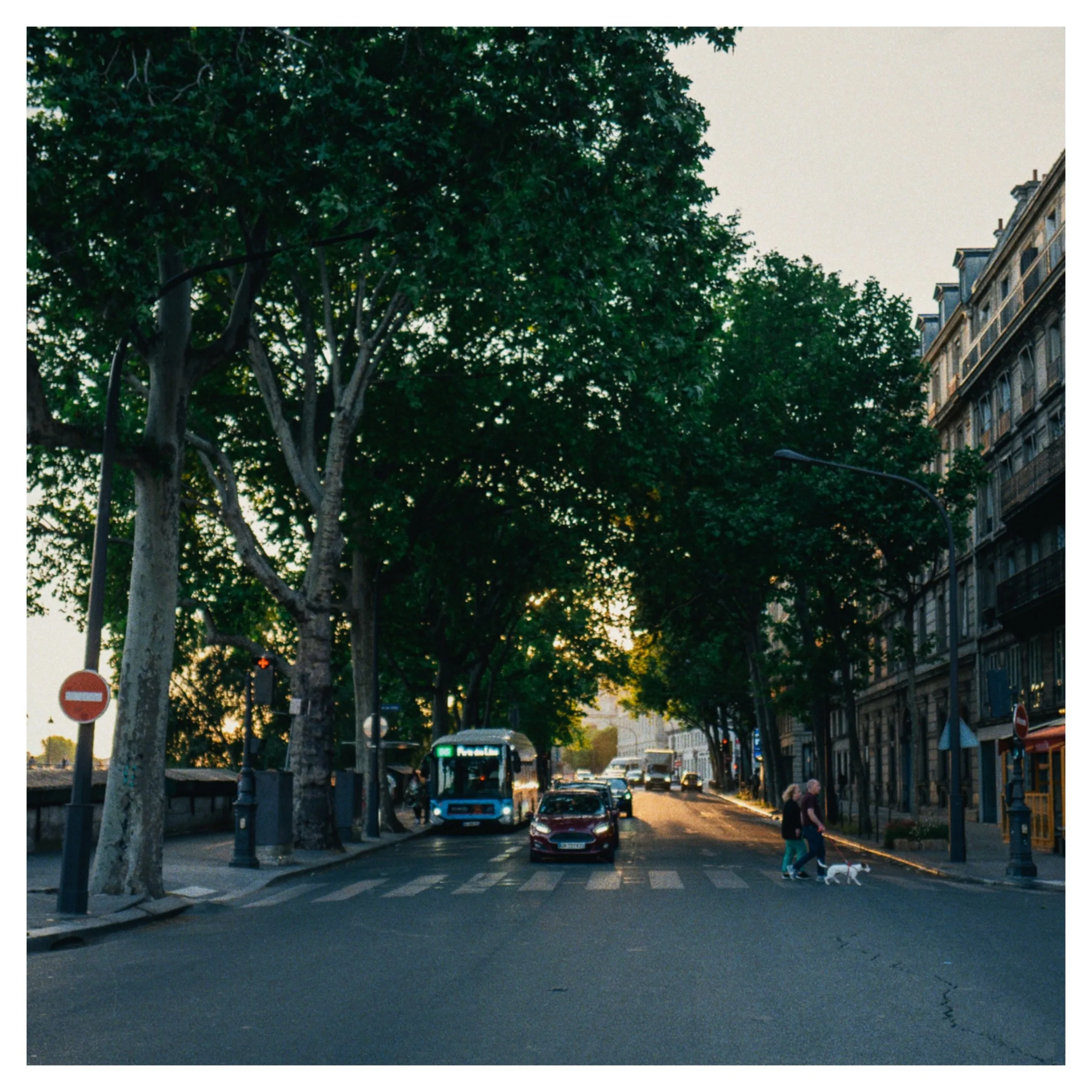 Photograph 16