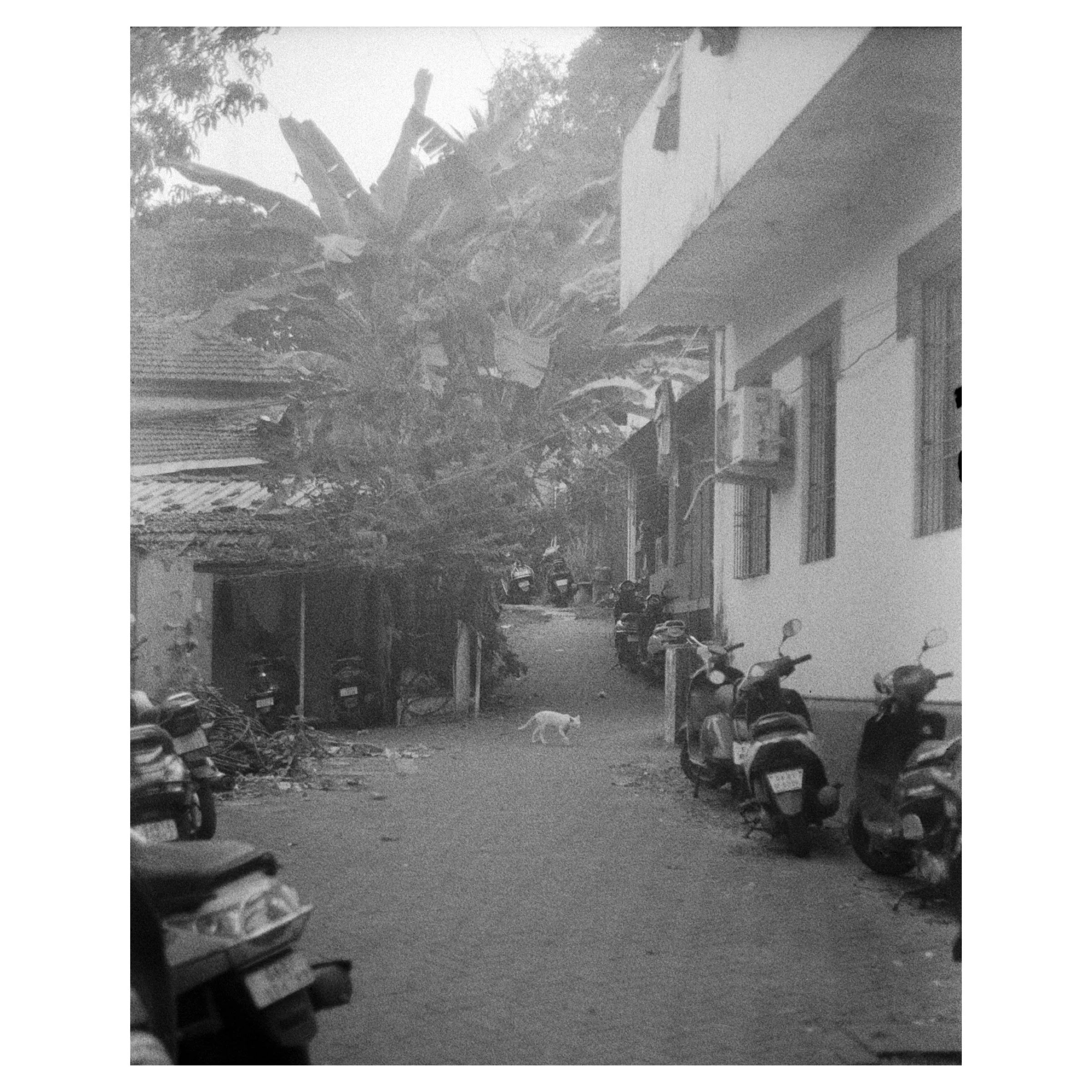 Photograph 25